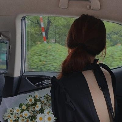 樱花真相 海报